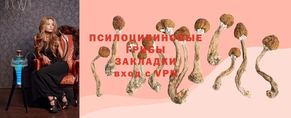 гидропоника Беломорск