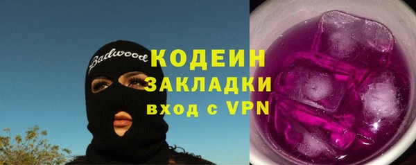 индика Богданович