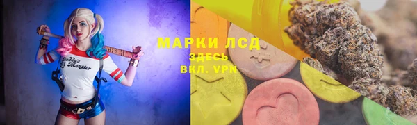 гидропоника Беломорск