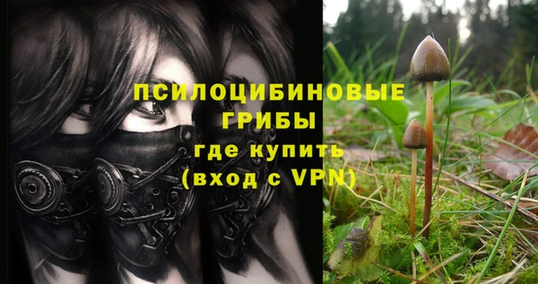 кристаллы Белокуриха