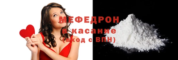 индика Богданович