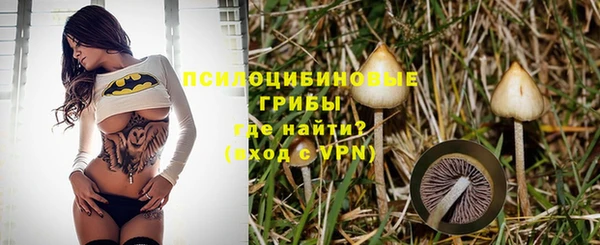 гидропоника Беломорск