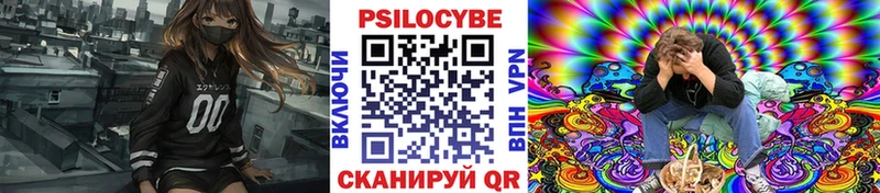 darknet Telegram Оха Псилоцибиновые грибы Cubensis сколько стоит
